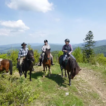 Gorskie Siedlisko - Rycerska Ferienhaus