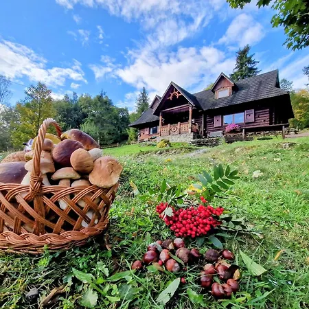 Vakantiehuis Gorskie Siedlisko - 3 *