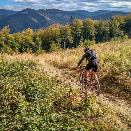 Gorskie Siedlisko - 3 Dom wakacyjny
