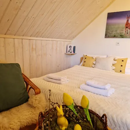 Vakantiehuis Gorskie Siedlisko - 3 Rycerka Gorna