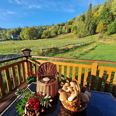 Gorskie Siedlisko - 3 Rycerka Gorna