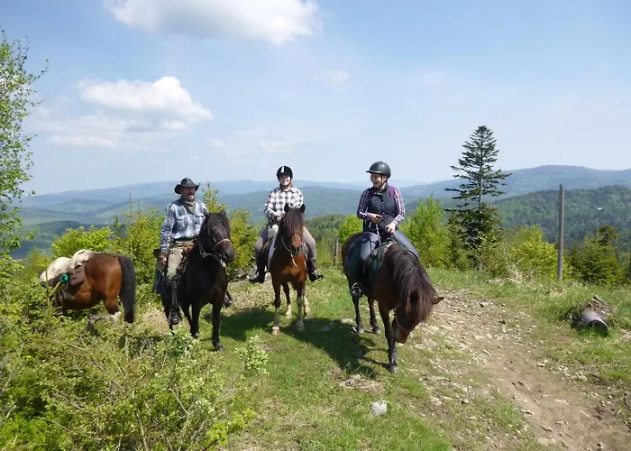 Gorskie Siedlisko - 3 Hébergement de vacances