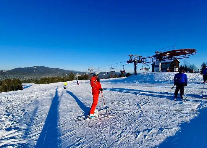 Gorskie Siedlisko - 3 * Rycerka Gorna