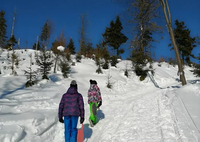 Gorskie Siedlisko - 3 Сasa de vacaciones *