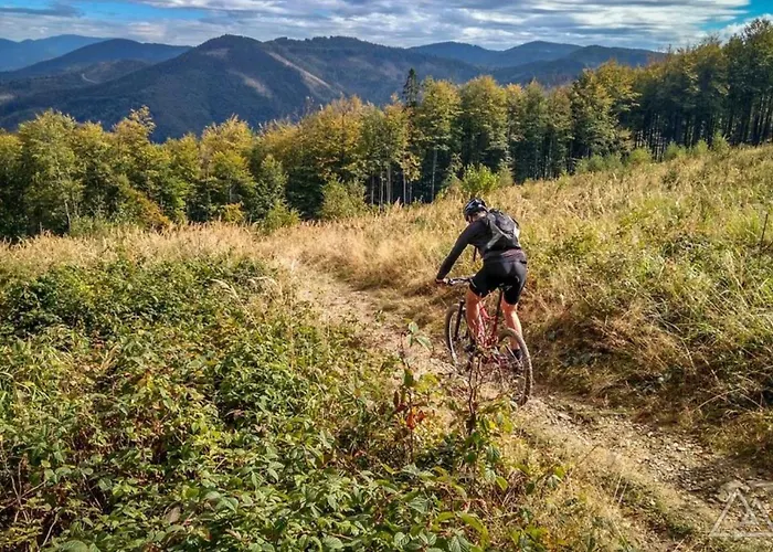 Gorskie Siedlisko - 3 Hébergement de vacances