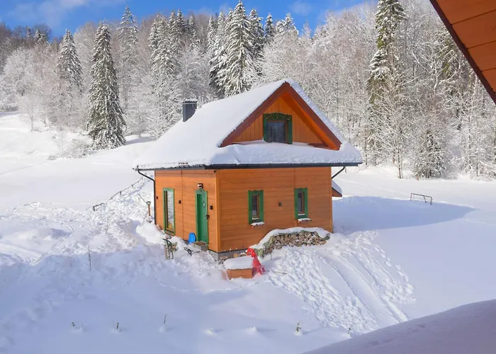 Hébergement de vacances Gorskie Siedlisko - 3 *